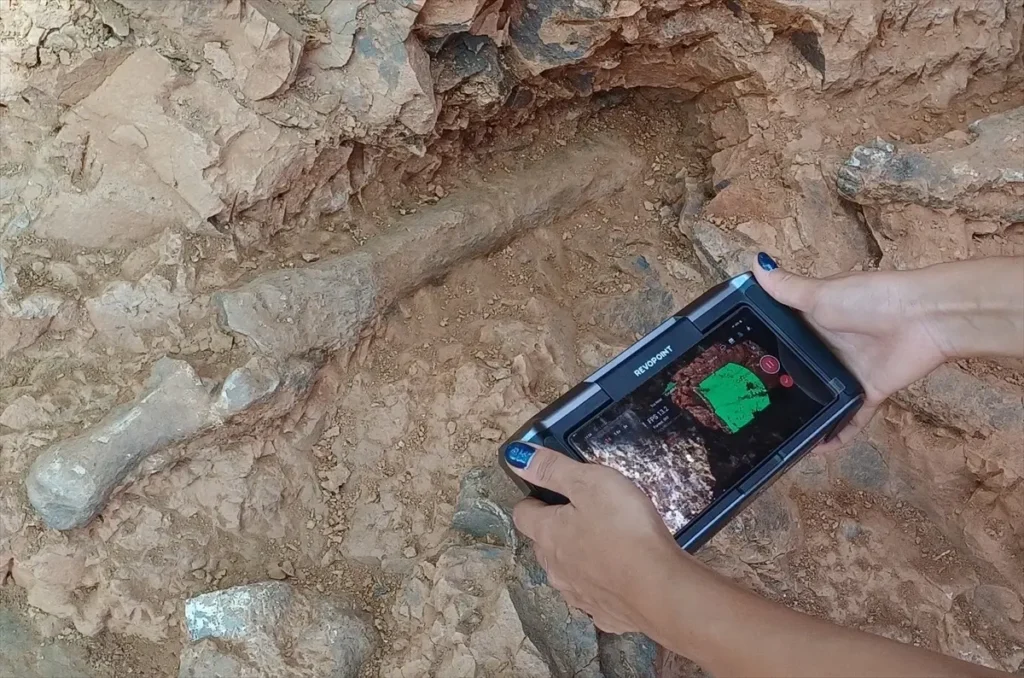 Tavas’ta 27 Fosil Türü Keşfedildi