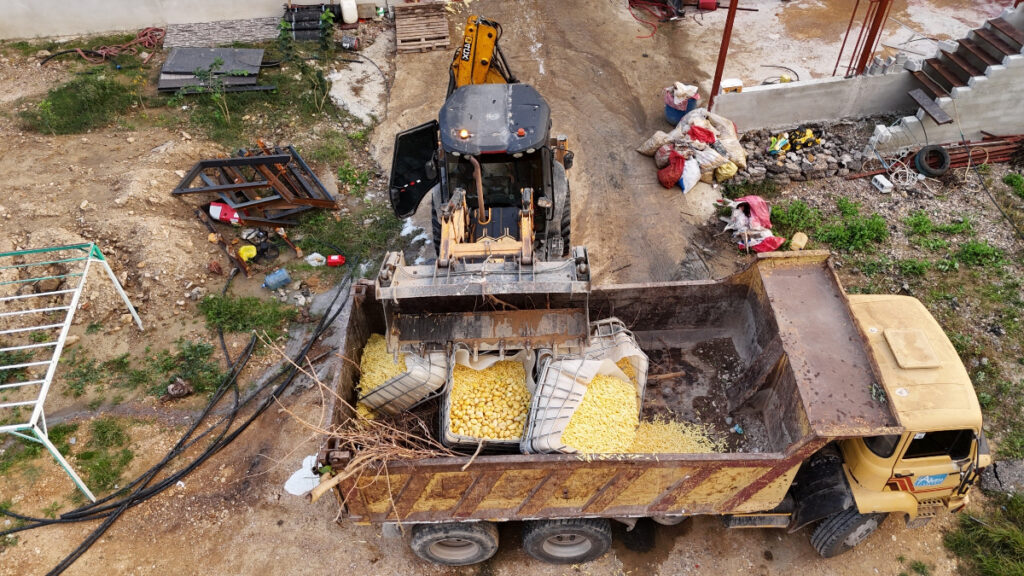 Antalya’da sağlıksız patates üretimi yapan işletmeye baskın