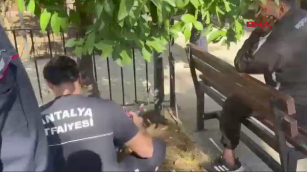 Antalya’da uyurken bacağını banka sıkıştırdı: Yardımına itfaiye yetişti