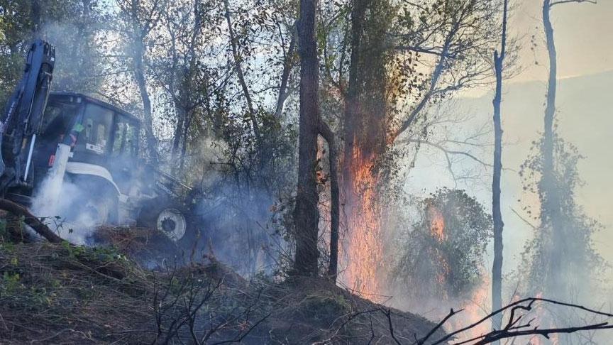 Artvin’de korkutan yangın! Rüzgar alevleri büyüttü