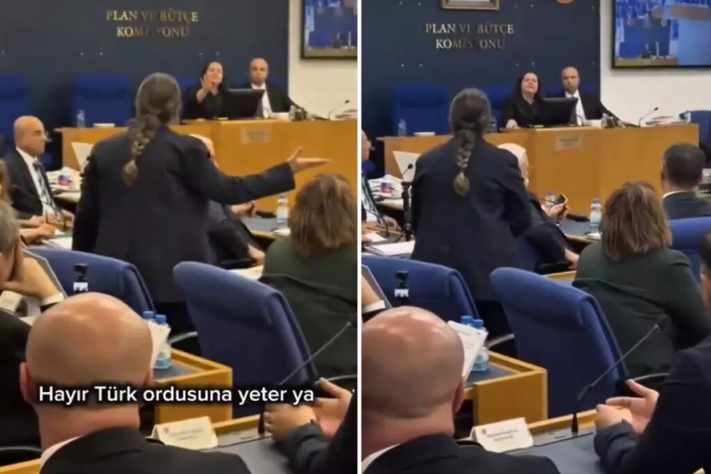 DEM Partili vekilin “Tecavüz” iddiası Türkeş’in kızını küplere bindirdi