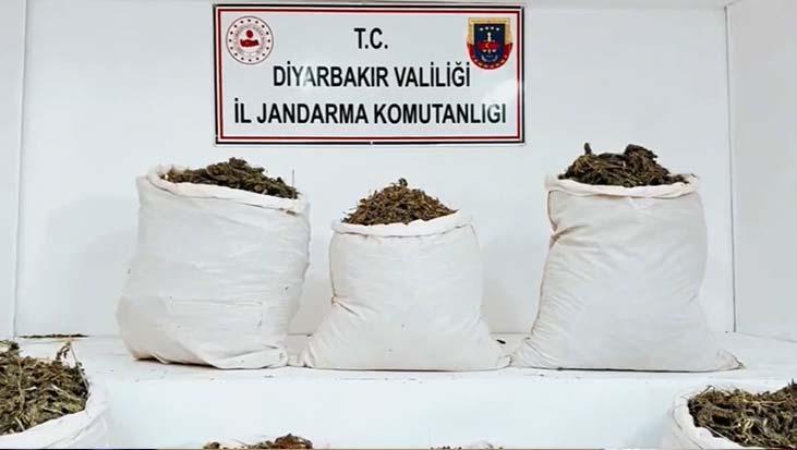 Diyarbakır’da dev uyuşturucu operasyonu: 25 şüpheli yakalandı