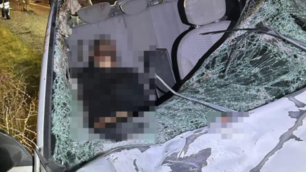 Diyarbakır’da otomobillerin ata çarptığı kazada 1 kişi öldü