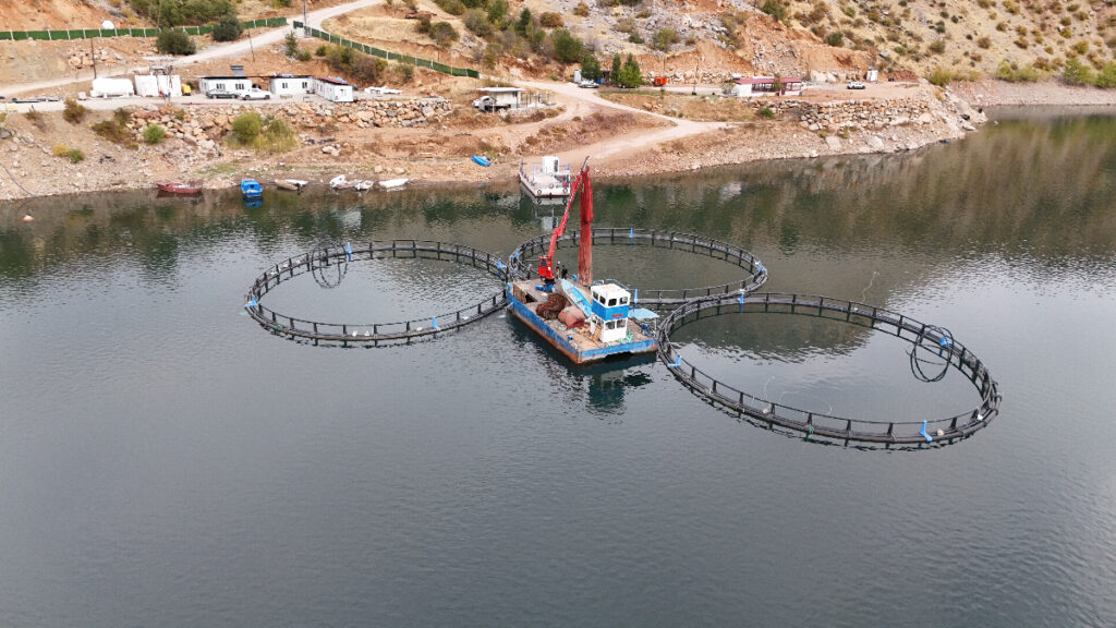 Diyarbakır’dan dünyaya “Mezopotamya somonu” gönderilecek