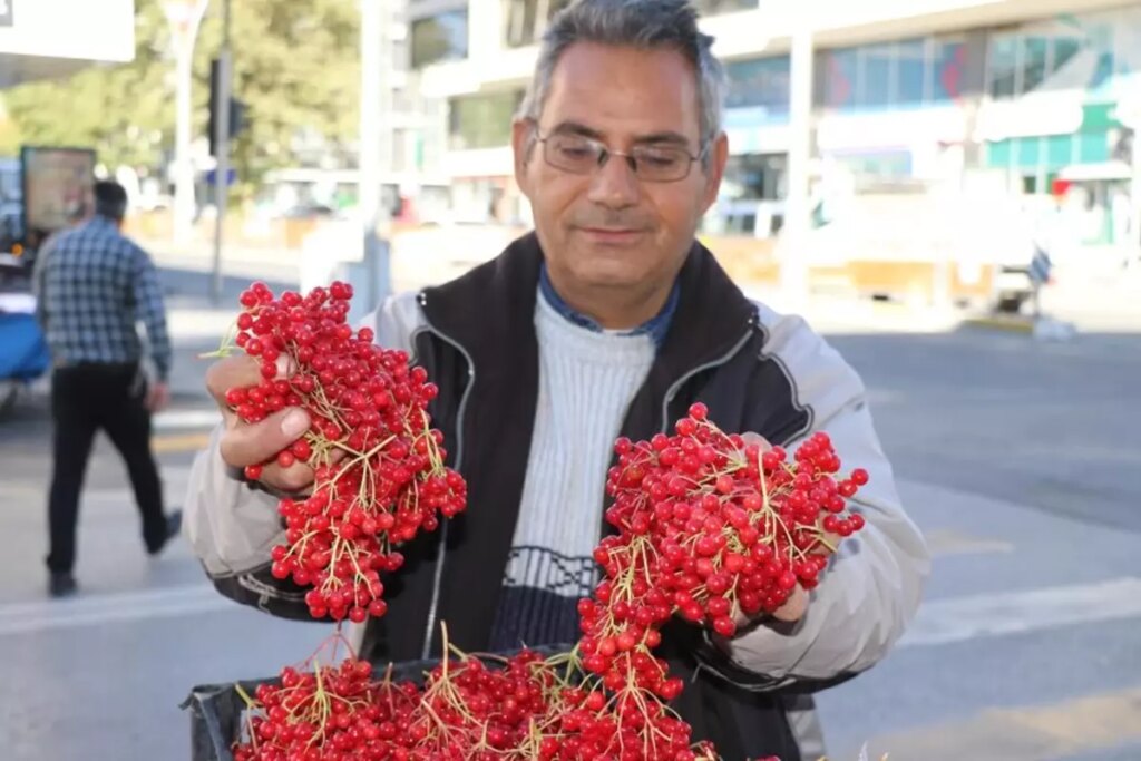 “Gençlik iksiri” tezgahlardaki yerini aldı! Faydaları saymakla bitmiyor