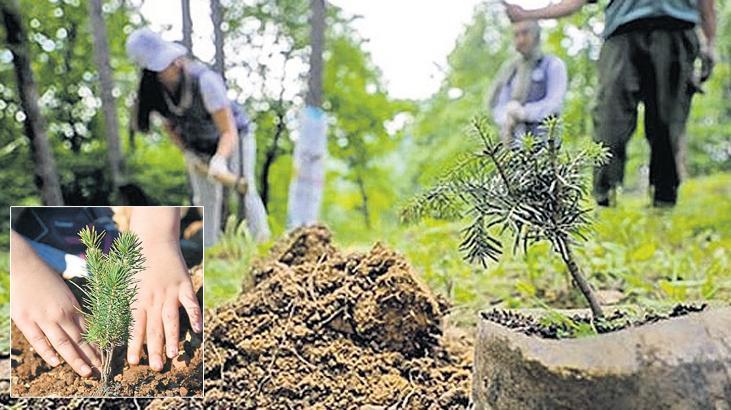 Her bebek için bir fidan! Yeşil Vatan seferberliği başlıyor