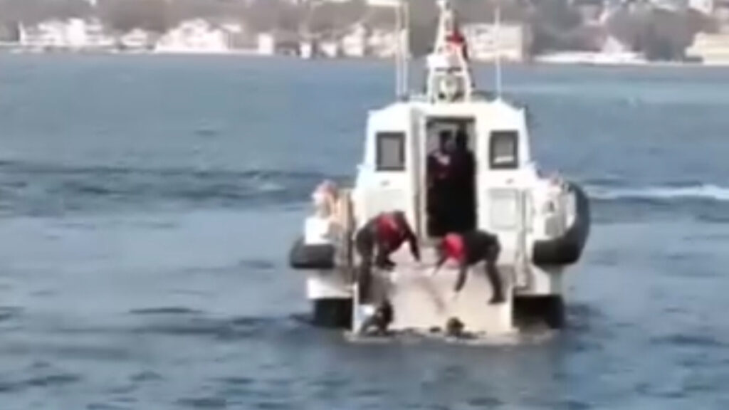 İstanbul’da balık tutan vatandaşların oltasına ceset takıldı