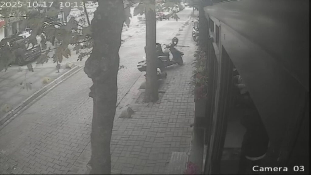 İstanbul’da kedi beslerken darbedildi