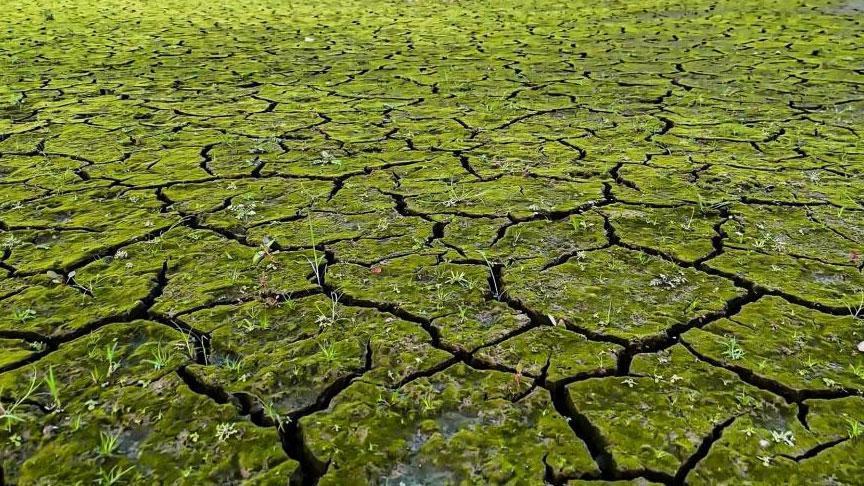 İstanbul’da korkutan manzara! Seviye yüzde 21,41 olarak ölçüldü
