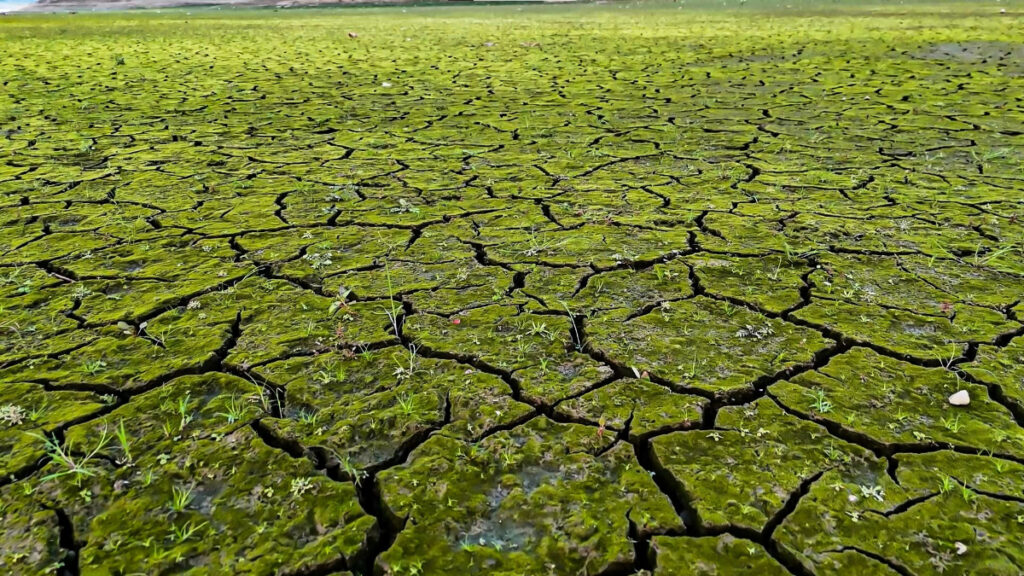 İstanbul’da kuraklığın izleri havadan görüntülendi