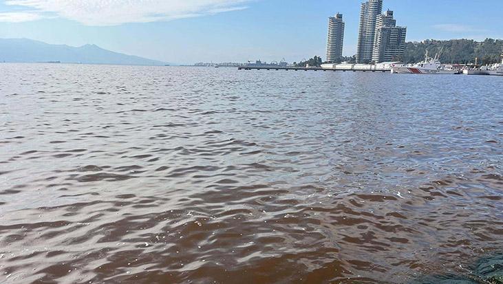 İzmir Körfezi alarm veriyor! Deniz kahverengiye döndü, koku dayanılmaz hale geldi