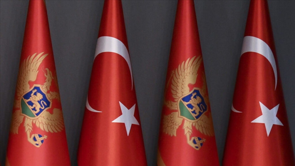 Karadağlı siyasetçi Cikotic: Türkiye’den özür dilemeliyiz