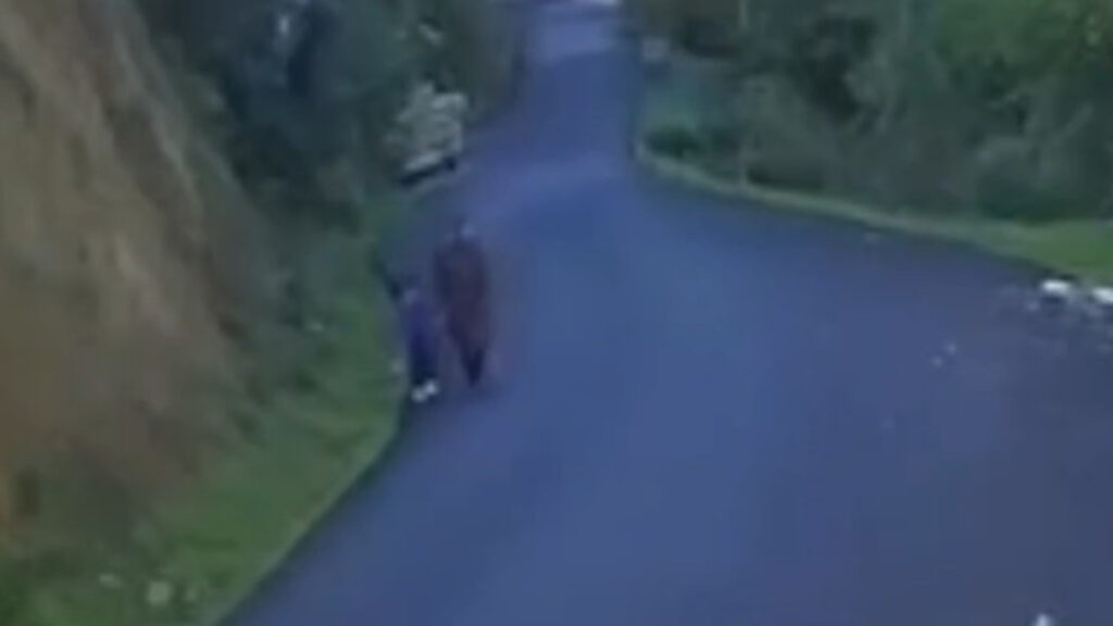 Kastamonu’da kaybolan çocuk öldü, anne aranıyor