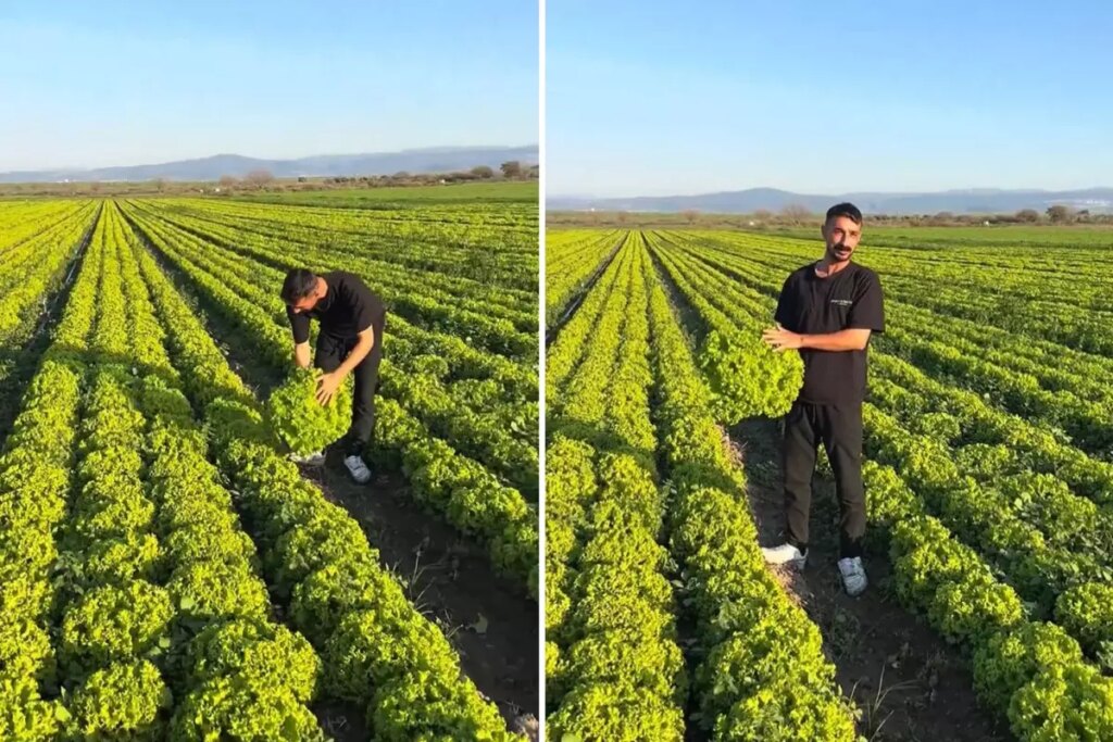“Satarsam şerefsizim” diyen İzmirli çiftçinin isyanı pahalıya patladı