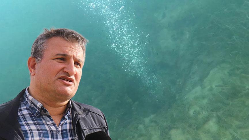 Son dakika… Sapanca Gölü’ndeki gizemli kabarcıklar depremin habercisi mi? Uzmanı açıkladı: Tetikleyebilir