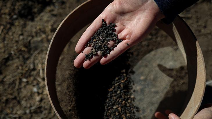 Van’da 5 bin yıllık arpa taneleri bulundu