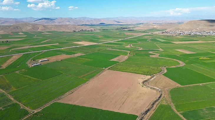 40 milyon TL’lik arsa kabusları oldu: ‘Sıkıntıya düşen, boşanma aşamasına gelenler var’