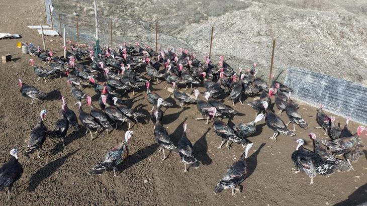 Almanya’dan memleketine dönüp kendi işinin patronu oldu: ‘Çevre illere de açılmak istiyoruz’