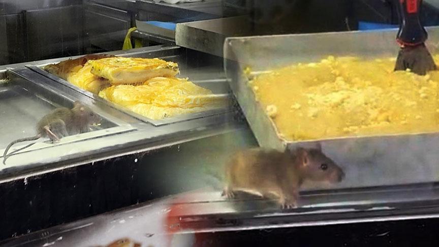 İzmir’den iğrenç görüntü! Fare böreklerin arasında cirit attı: İşletmeden şok savunma