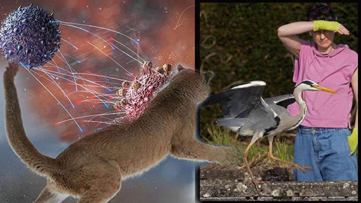 Kuş gribi ilk kez insan öldürdü! Virüs kapıyı araladı: ‘Artık tehdit değil, çok başlı bir yapı’