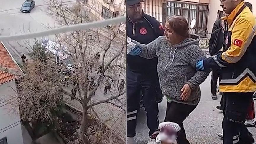 Market yolunda dehşet! Evden kaçan 5 köpeğin saldırısına uğradı