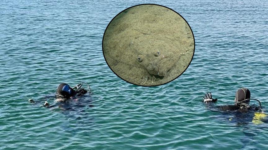 Marmara’nın altından çıkan şok gerçek! 30 noktada korkutan görüntüler