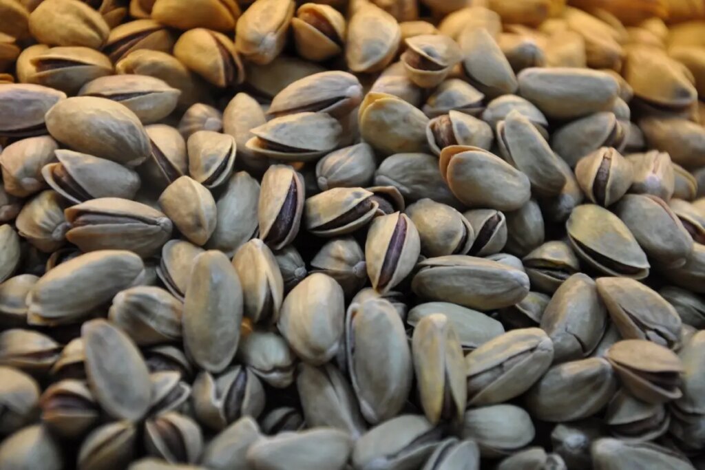 Resmi Gazete’de yayımlandı! Antep fıstığıyla ilgili önemli karar