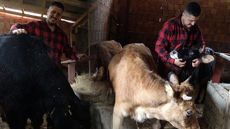 Sisteme dayanamadı kariyeri ‘sıfır’ladı: Almanya’da robot olacağıma köyümde çoban olurum