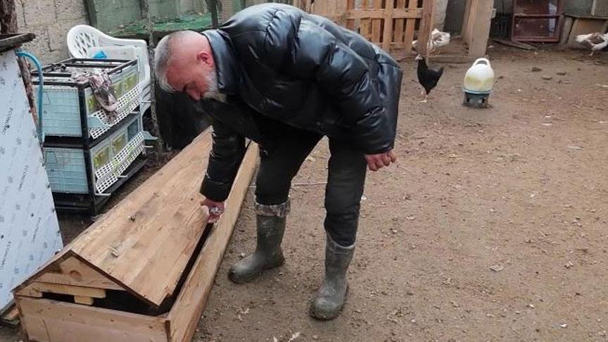 Tabuttan öyle bir şey yaptı ki gören şaşkına dönüyor! ‘30 bin liraya almaktansa kendiniz yapabilirsiniz’