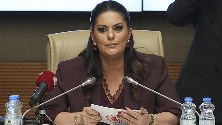 TBMM Engelli Bireylerin Sorunlarını Araştırma Komisyonu toplandı