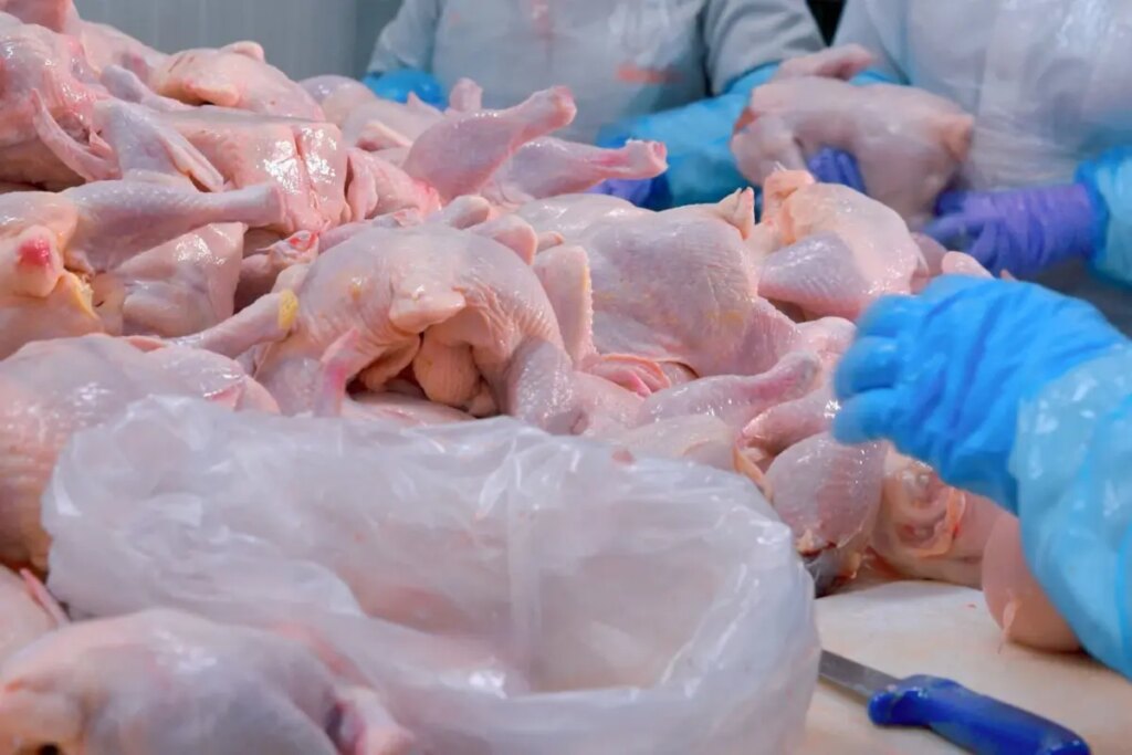 Türkiye’nin dev tavuk markası konkordato ilan etti