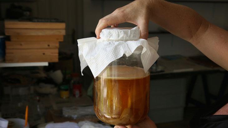 Yoğurt, kefir, kayısı… Hiçbiri fayda etmiyor: Bu çay bağırsakları motor gibi çalıştırıyor