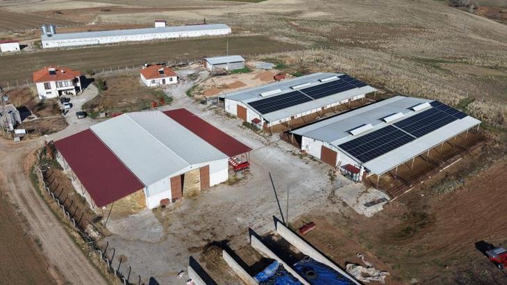 Yüzde 60 hibe desteğiyle çiftlik kurdu: Devlet olmasaydı hayal bile edemezdik