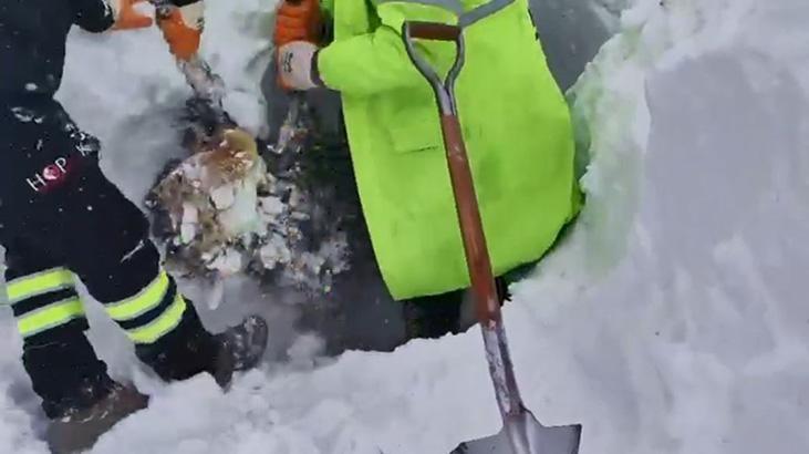 Artvin’de çığ altında kalan 2 kişiyi arama çalışmaları ikinci günde sürüyor