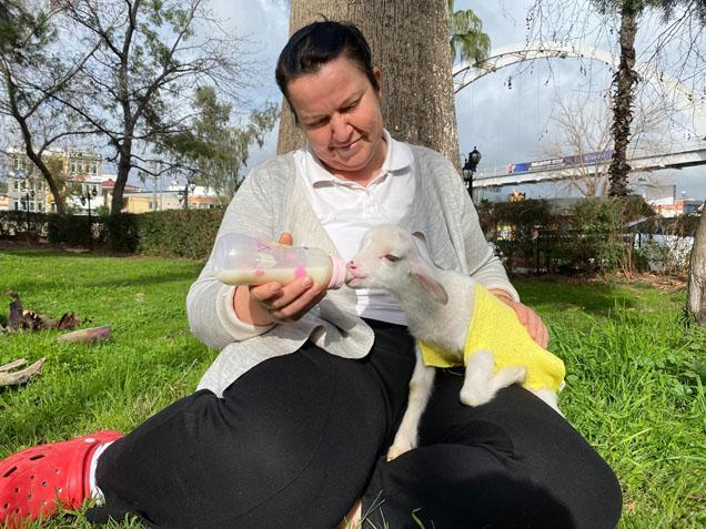 Annesi reddetti, o sahiplendi! ‘Kuzu Naciye’ salıncakta sallanıyor, misafirliğe gidiyor