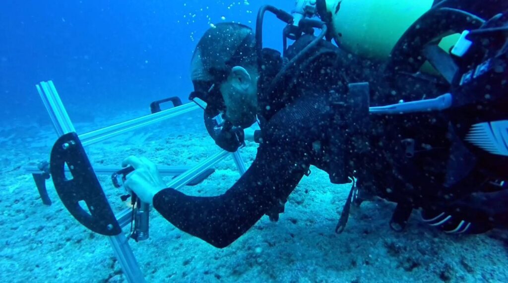Karadeniz’de ‘sessiz katil’ alarmı! Kilometrelerce uzanan hayalet ağlar için harekete geçildi