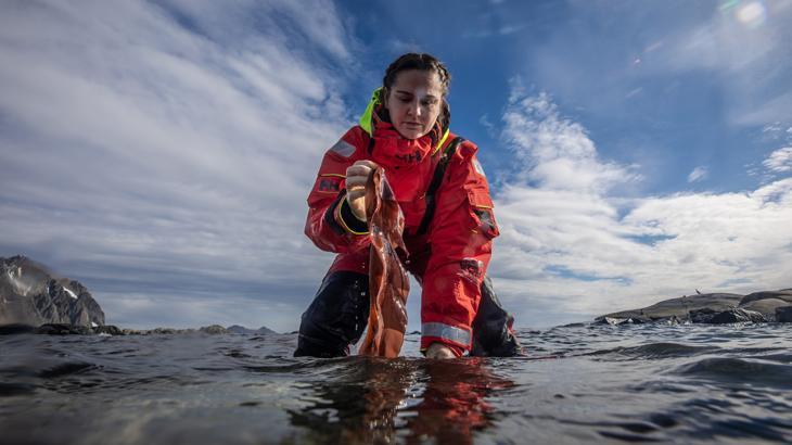 Türk bilim insanları Antarktika’daki araştırmalarıyla sağlık ve tarıma ışık tutuyor