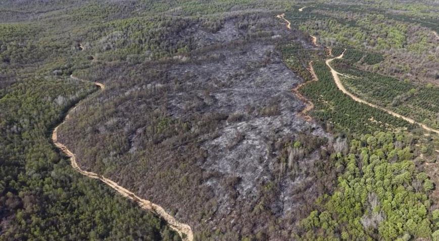 9 saatlik kabus: Beykoz’daki yangının bilançosu ağır oldu