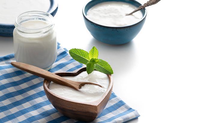 Bağırsakların görünmez kalkanı! Kefir mi yoğurt mu daha güçlü?