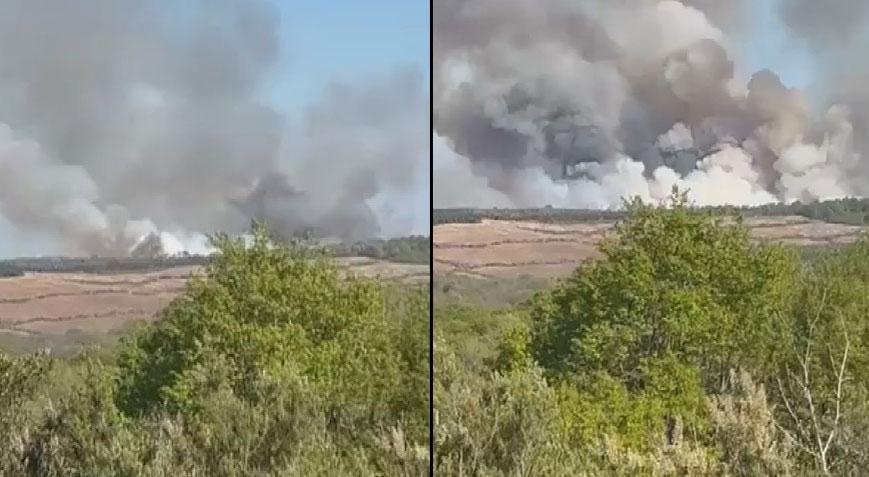 Beykoz’daki orman yangınında korkutan gelişme! Alevler yeniden yükseldi… Valilikten açıklama