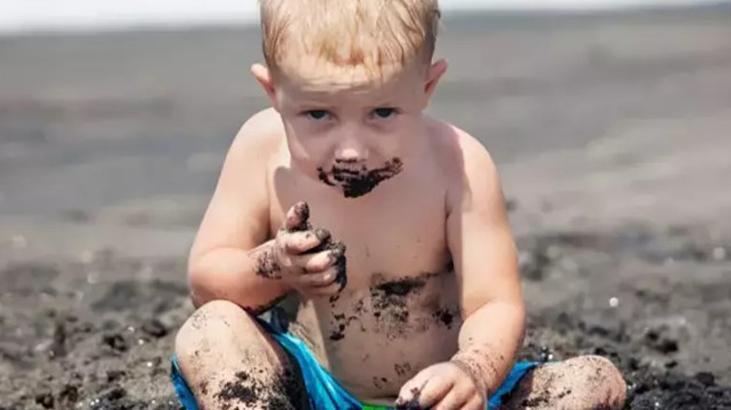 Bulaşık süngerinden duvar alçısına her şeyi yiyorlar! Türlü enfeksiyonlara sebep oluyor