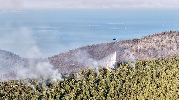 Muğla’da orman yangını: Alevler lüks villa ve otellerin bulunduğu alana yaklaştı