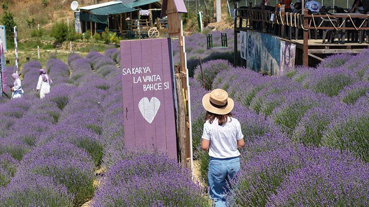 Türkiye Kültür Yolu Festivali’nin yeni durağı Sakarya