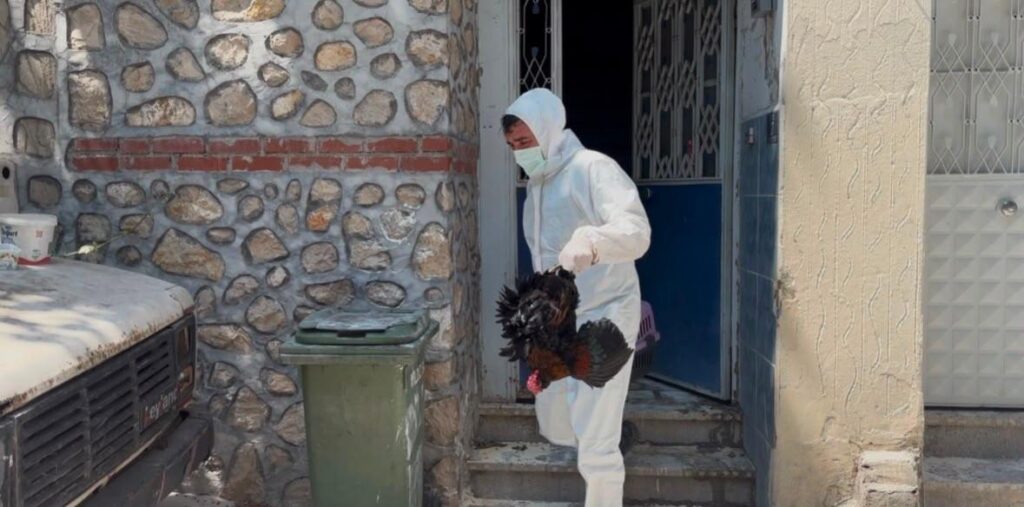 Mahalle pire istilasıyla karşı karşıya kaldı! 3 katlı binadan çıkanlar şaşkına çevirdi